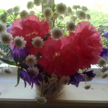 Ferienhaus Tonise Holiday Houses Lilbi (Saaremaa)