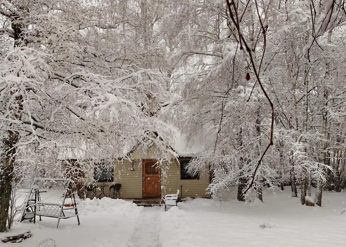 Tonise Holiday Houses Holiday home