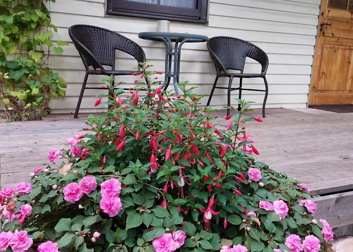 Tonise Holiday Houses Holiday home Lilbi (Saaremaa)